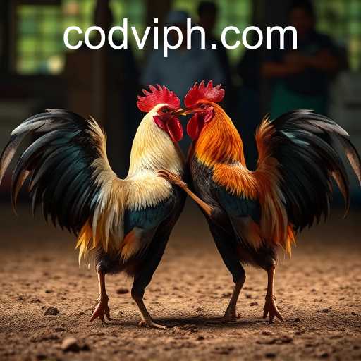 The Transformation of Sabong in the Digital Era: Spotlight on Codvip